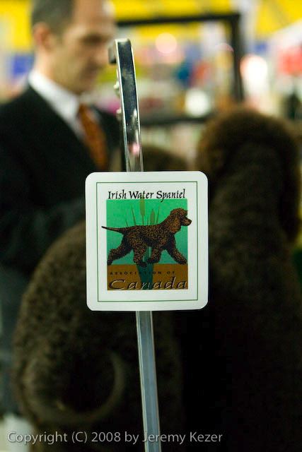 20081128-iwsac-0030.jpg