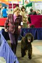 20081128-iwsac-0058