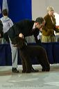 20081128-iwsac-0033