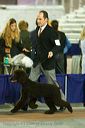20081128-iwsac-0046