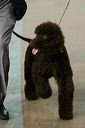 20081128-iwsac-0053