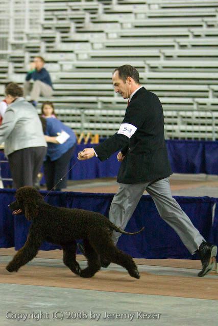 20081128-iwsac-0042.jpg