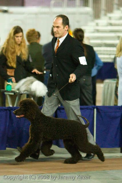 20081128-iwsac-0046.jpg