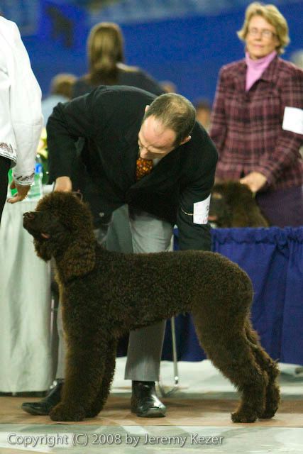 20081128-iwsac-0049.jpg