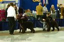20081128-iwsac-0078