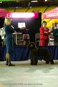 20081128-iwsac-0224