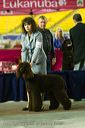 20081128-iwsac-0226