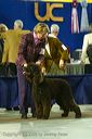 20081128-iwsac-0227