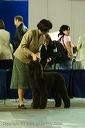 20081128-iwsac-0228