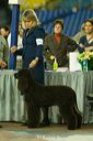 20081128-iwsac-0235
