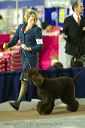 20081128-iwsac-0249