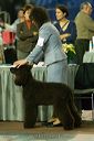 20081128-iwsac-0252