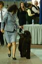 20081128-iwsac-0257