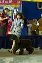 20081128-iwsac-0267