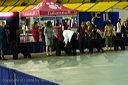 20081128-iwsac-0277