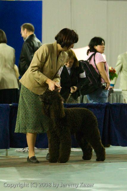 20081128-iwsac-0228.jpg