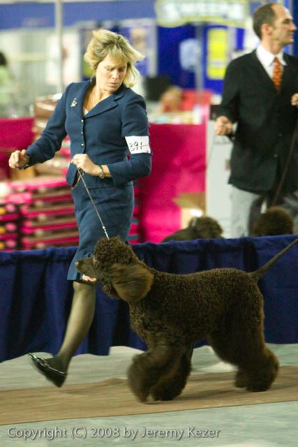 20081128-iwsac-0249.jpg