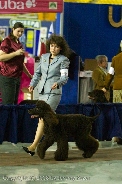 20081128-iwsac-0267.jpg