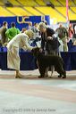 20081129-iwsac-0140
