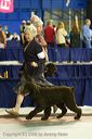 20081129-iwsac-0154
