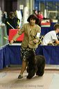 20081129-iwsac-0184