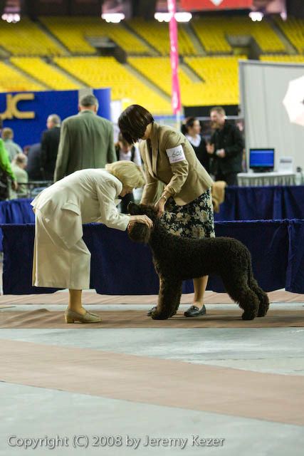 20081129-iwsac-0164.jpg