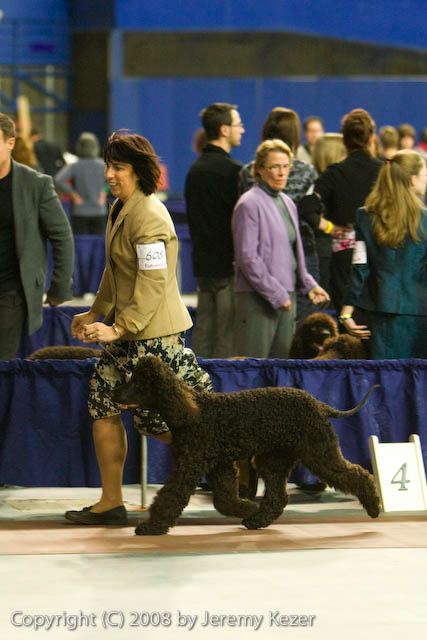 20081129-iwsac-0182.jpg