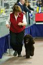 20081129-iwsac-0411