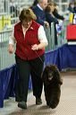 20081129-iwsac-0412