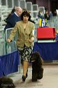 20081129-iwsac-0415
