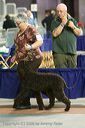 20081129-iwsac-0432