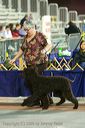 20081129-iwsac-0436