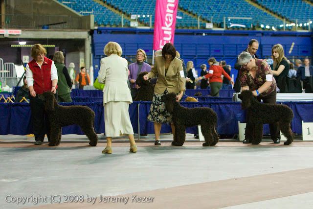 20081129-iwsac-0409.jpg