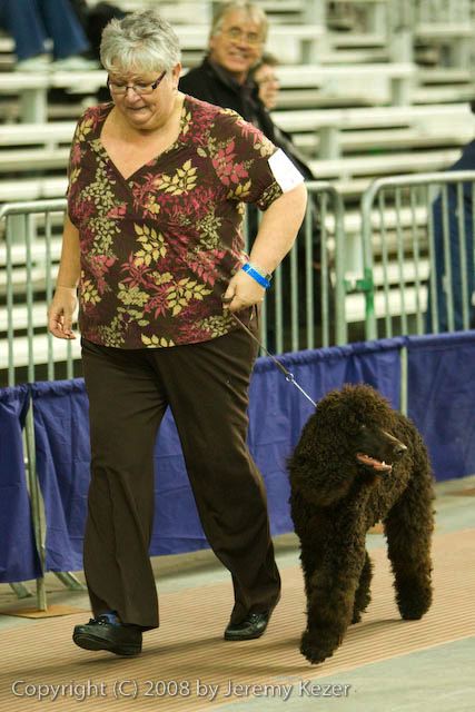 20081129-iwsac-0439.jpg