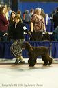 20081129-iwsac-0130