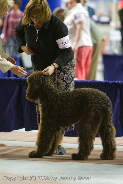 20081129-iwsac-0115.jpg