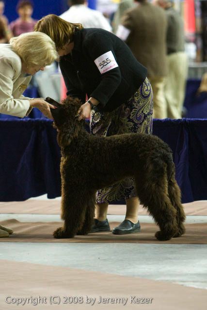 20081129-iwsac-0117.jpg