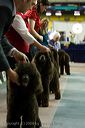 20081129-iwsac-0195