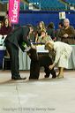 20081129-iwsac-0203