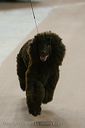 20081129-iwsac-0207