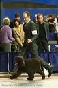 20081129-iwsac-0212