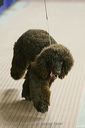 20081129-iwsac-0218