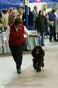 20081129-iwsac-0223
