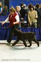 20081129-iwsac-0232