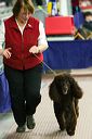 20081129-iwsac-0236
