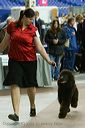 20081129-iwsac-0244