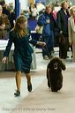 20081129-iwsac-0270