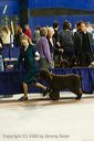 20081129-iwsac-0279