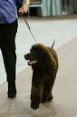 20081129-iwsac-0298