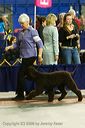 20081129-iwsac-0302